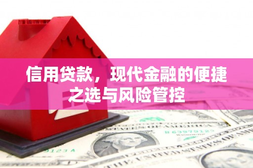 苏尼特右旗信用贷款，现代金融的便捷之选与风险管控