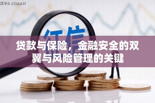 板桥贷款与保险，金融安全的双翼与风险管理的关键