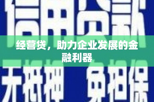 通山经营贷，助力企业发展的金融利器