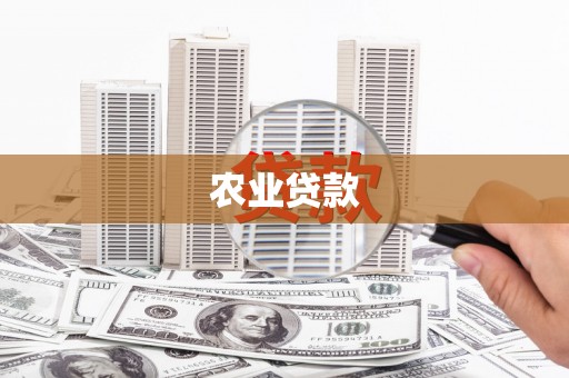 离石农业贷款