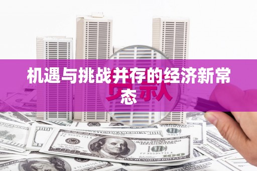 新埤机遇与挑战并存的经济新常态