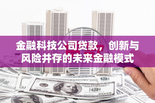 屯门金融科技公司贷款，创新与风险并存的未来金融模式