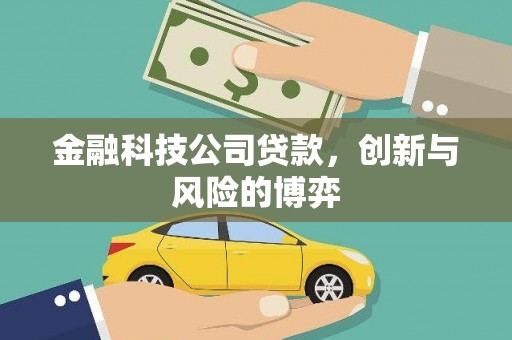 顺城金融科技公司贷款，创新与风险的博弈
