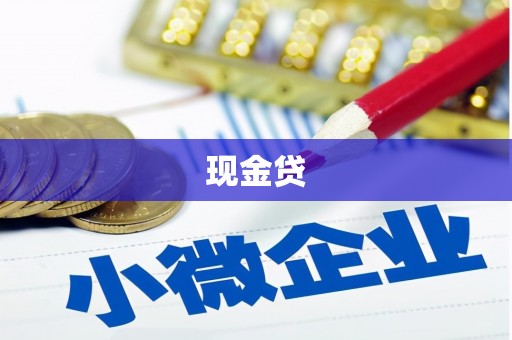 上林现金贷