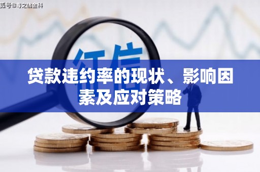 文安贷款违约率的现状、影响因素及应对策略