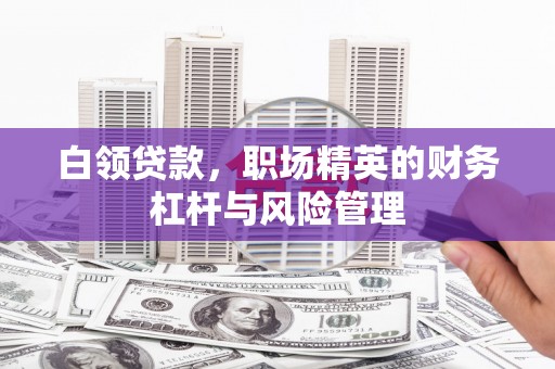 洛扎白领贷款，职场精英的财务杠杆与风险管理