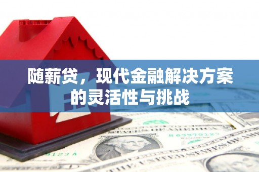 九原随薪贷，现代金融解决方案的灵活性与挑战