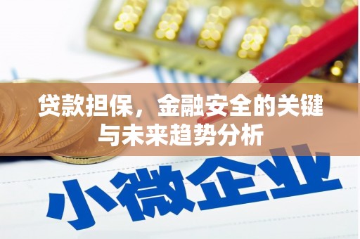 薛城贷款担保，金融安全的关键与未来趋势分析