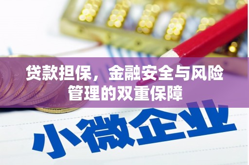 定海贷款担保，金融安全与风险管理的双重保障