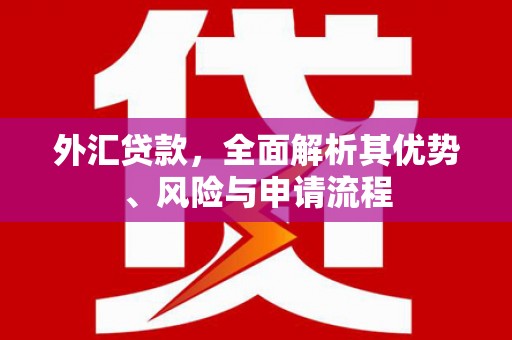 大埤外汇贷款，全面解析其优势、风险与申请流程