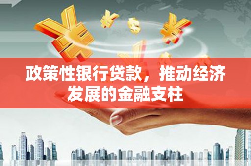 长岛政策性银行贷款，推动经济发展的金融支柱