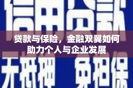 漯河贷款与保险，金融双翼如何助力个人与企业发展