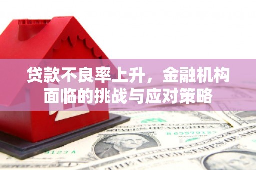 罗定贷款不良率上升，金融机构面临的挑战与应对策略