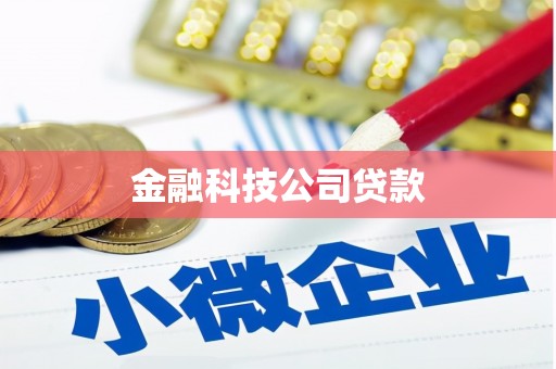 南区金融科技公司贷款