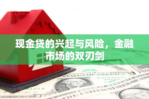 定海现金贷的兴起与风险，金融市场的双刃剑