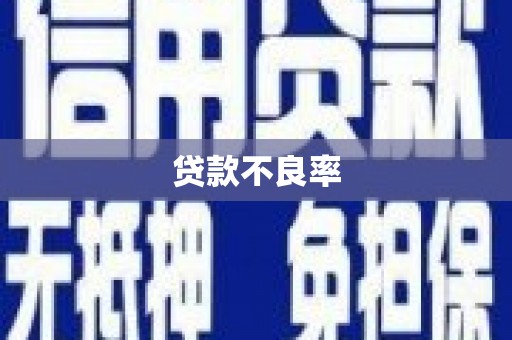 张掖贷款不良率