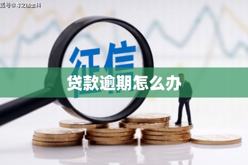 越西贷款逾期怎么办