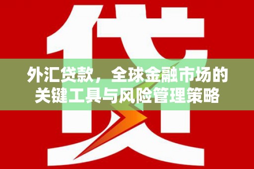 屯门外汇贷款，全球金融市场的关键工具与风险管理策略
