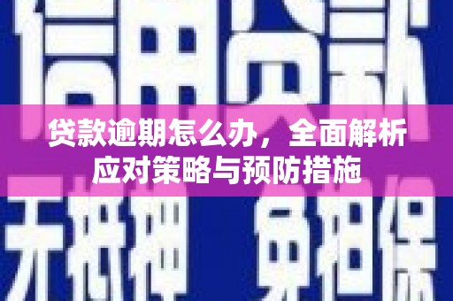 色达贷款逾期怎么办，全面解析应对策略与预防措施