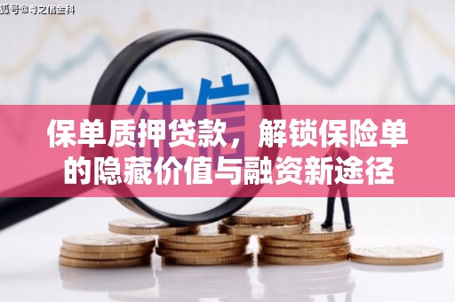 双河保单质押贷款，解锁保险单的隐藏价值与融资新途径