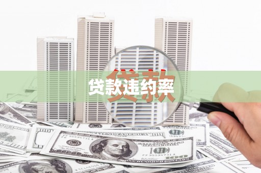 佛坪贷款违约率