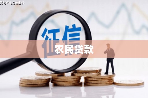 和田农民贷款