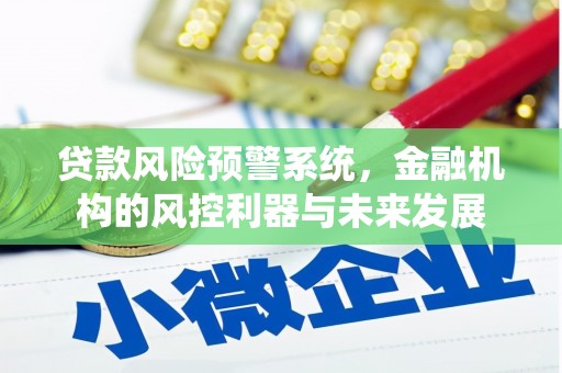 狮子贷款风险预警系统，金融机构的风控利器与未来发展