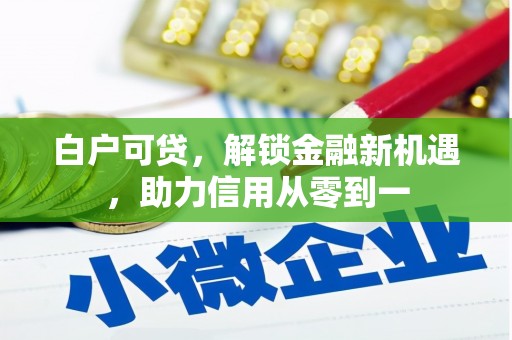 温州白户可贷，解锁金融新机遇，助力信用从零到一