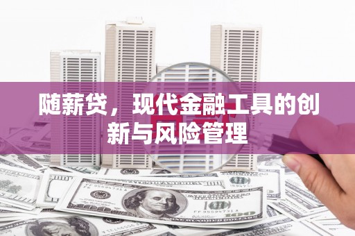 登封随薪贷，现代金融工具的创新与风险管理