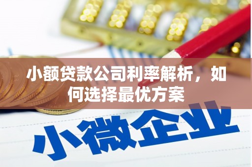 鸡东小额贷款公司利率解析，如何选择最优方案