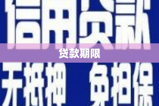 公安贷款期限