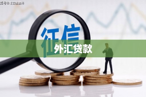 兴山外汇贷款