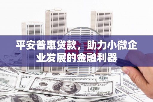 新泰平安普惠贷款，助力小微企业发展的金融利器