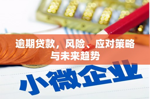 凤山逾期贷款，风险、应对策略与未来趋势