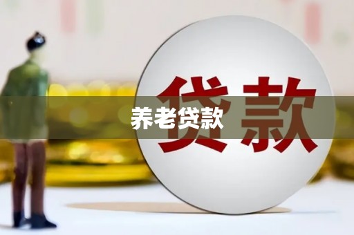 单县养老贷款