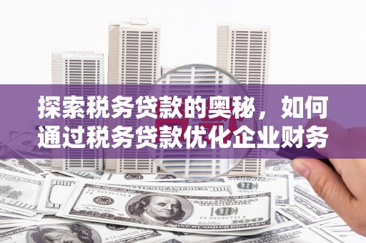 团风探索税务贷款的奥秘，如何通过税务贷款优化企业财务