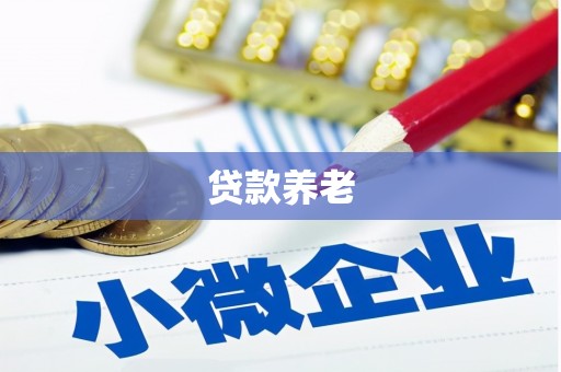 江岸贷款养老