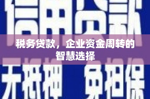 薛城税务贷款，企业资金周转的智慧选择