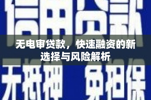 卑南无电审贷款，快速融资的新选择与风险解析