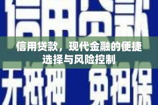 太保信用贷款，现代金融的便捷选择与风险控制