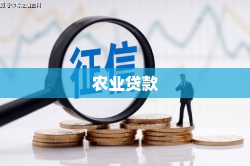 灌阳农业贷款