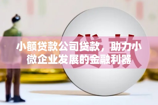阿里山小额贷款公司贷款，助力小微企业发展的金融利器