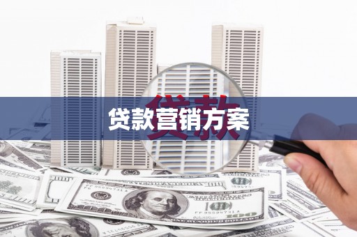 西林贷款营销方案