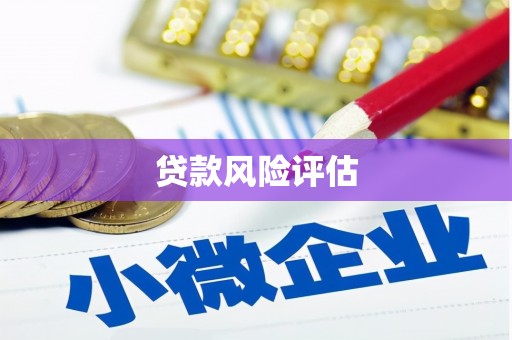 瀍河贷款风险评估