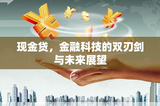 南阳现金贷，金融科技的双刃剑与未来展望