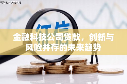 佳木斯金融科技公司贷款，创新与风险并存的未来趋势