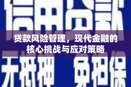 志丹贷款风险管理，现代金融的核心挑战与应对策略