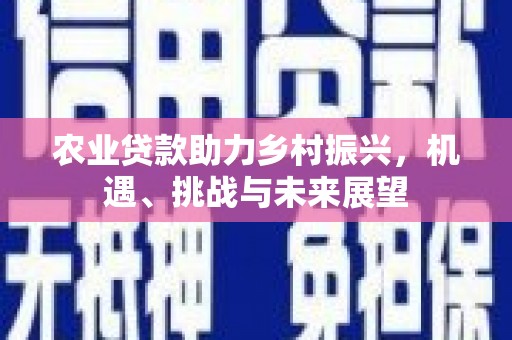 云龙农业贷款助力乡村振兴，机遇、挑战与未来展望