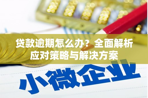 保德贷款逾期怎么办？全面解析应对策略与解决方案