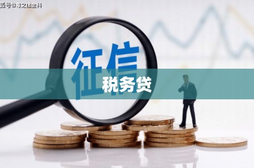 思南税务贷